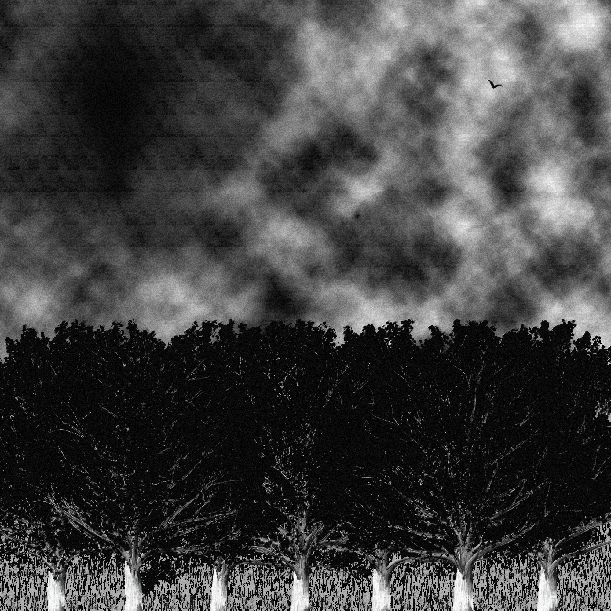 There's A Good Reason I'm Afraid To Walk In The Woods, But I Don't Think I Can Tell You Yet